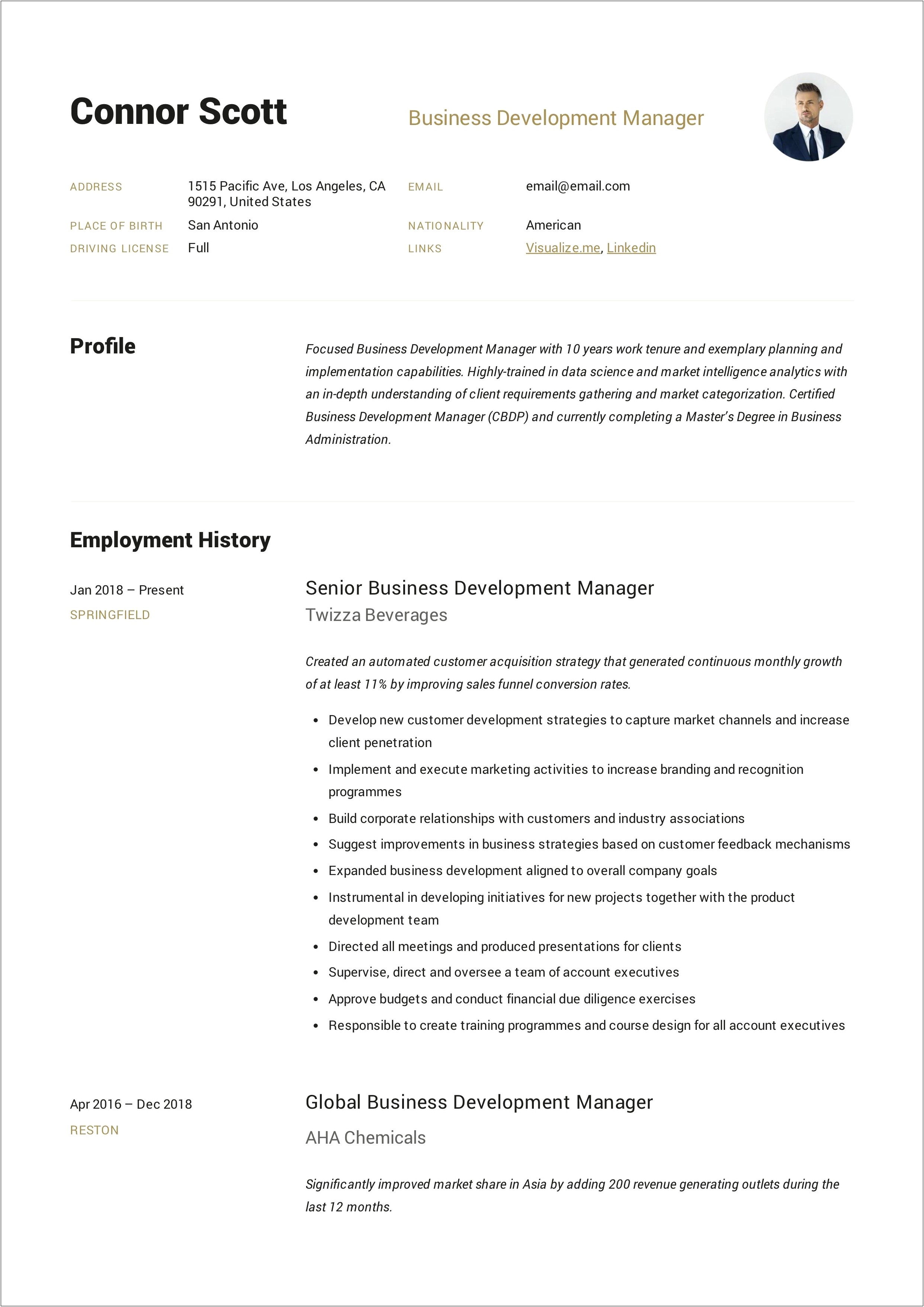 Description For Business Development Role On Resume