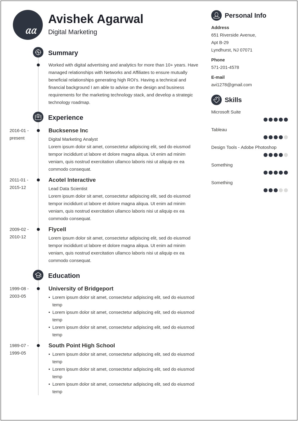 Digital Marketing Summary Resume Eye Catching Example