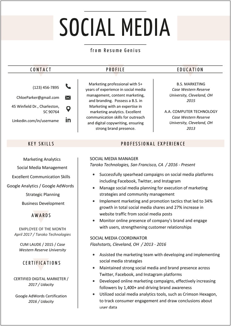 Director Of Business And Technology Resume Sample