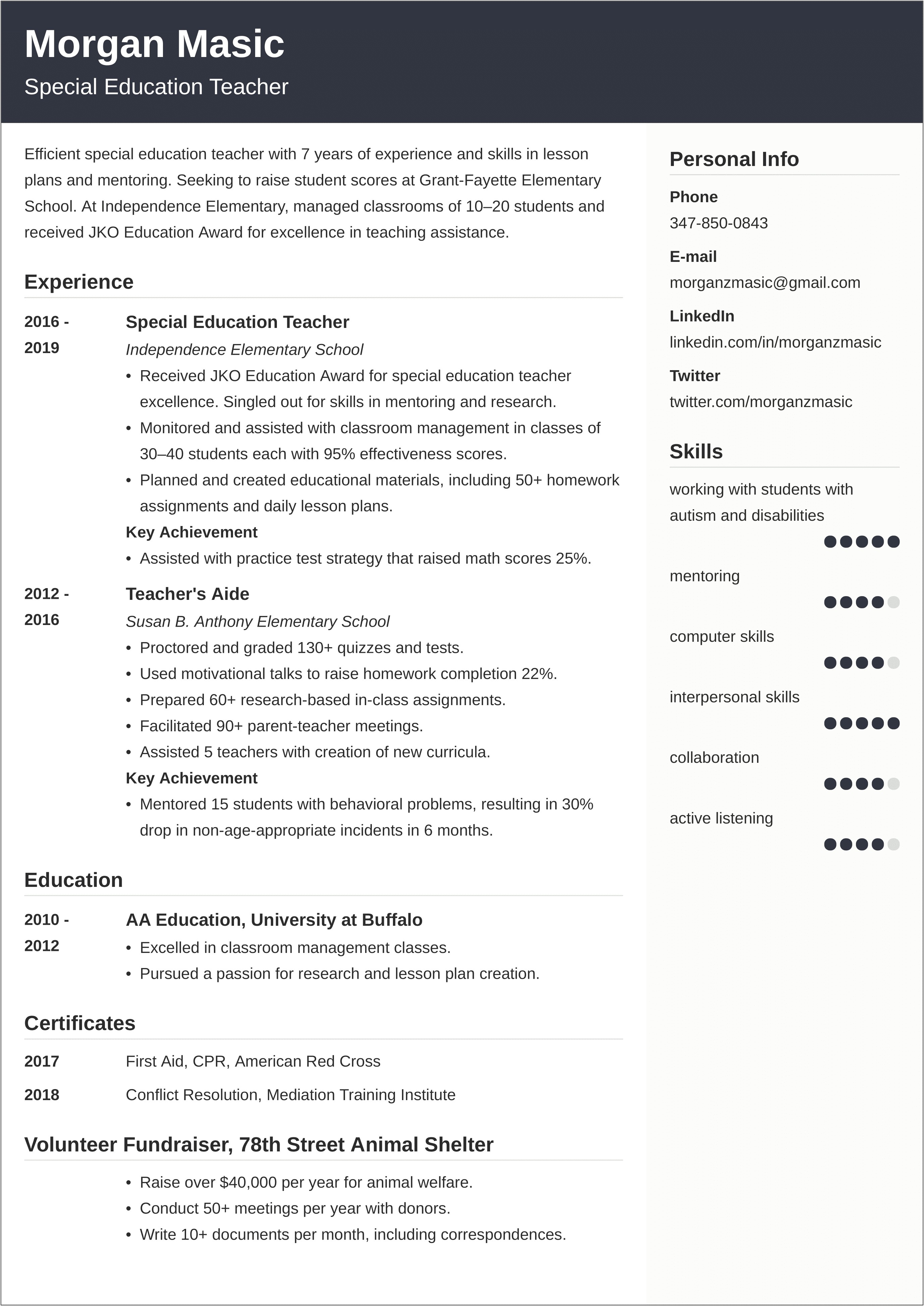 Director Of Special Education Resume Sample