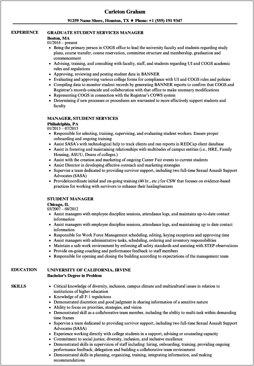 Director Of Student Affairs Resume Sample