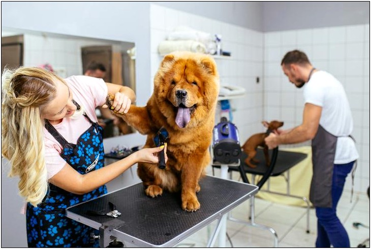 Dog Groomer Job Description For Resume