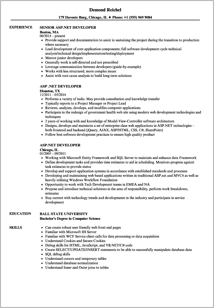 Dot Net Developer Resume For Experience