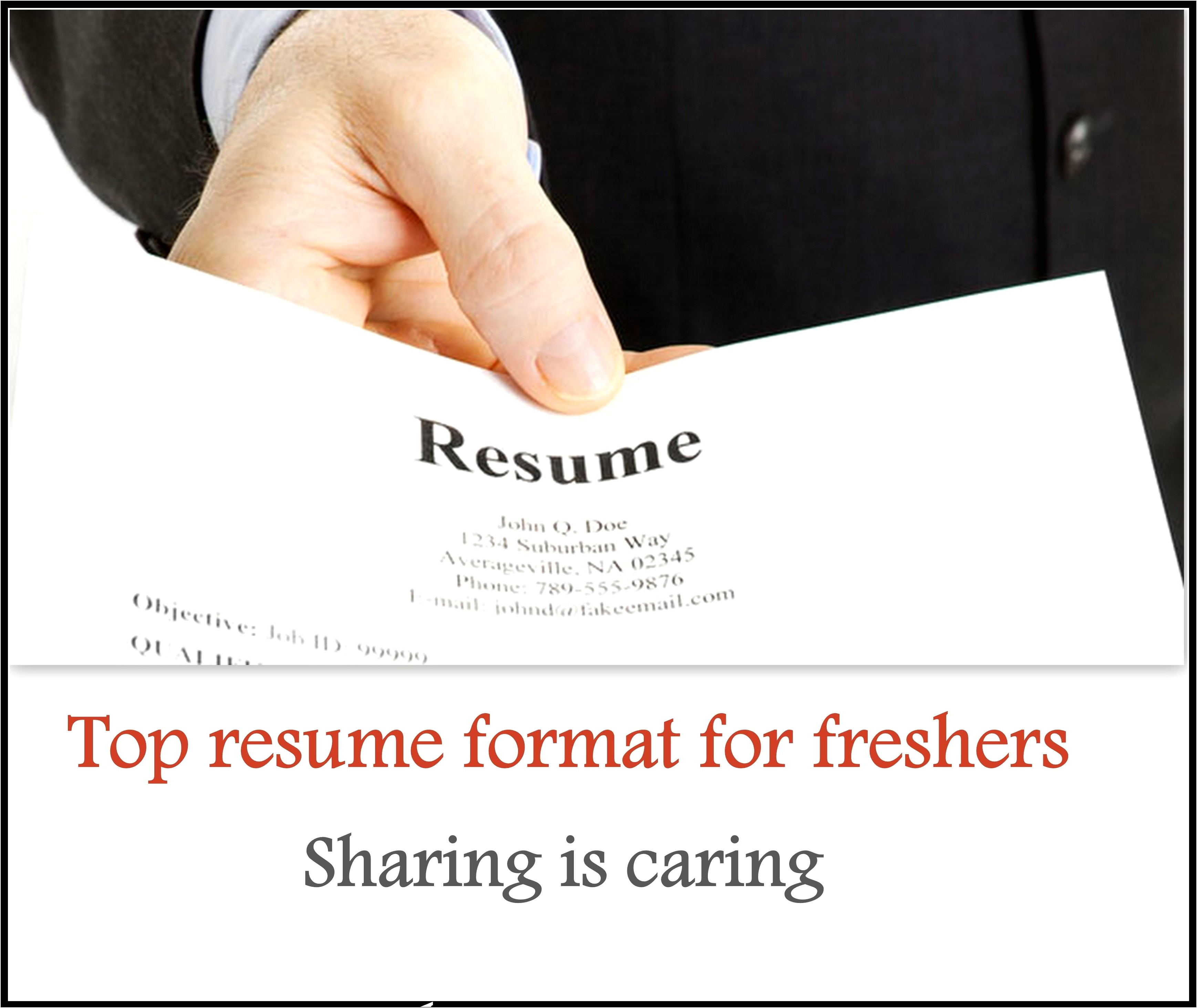 Dot Net Fresher Resume Free Download