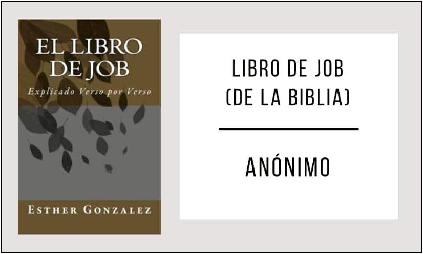 El Libro De Job Biblia Resumen