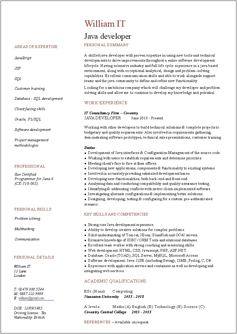 Entry Level Java Developer Resume Sample