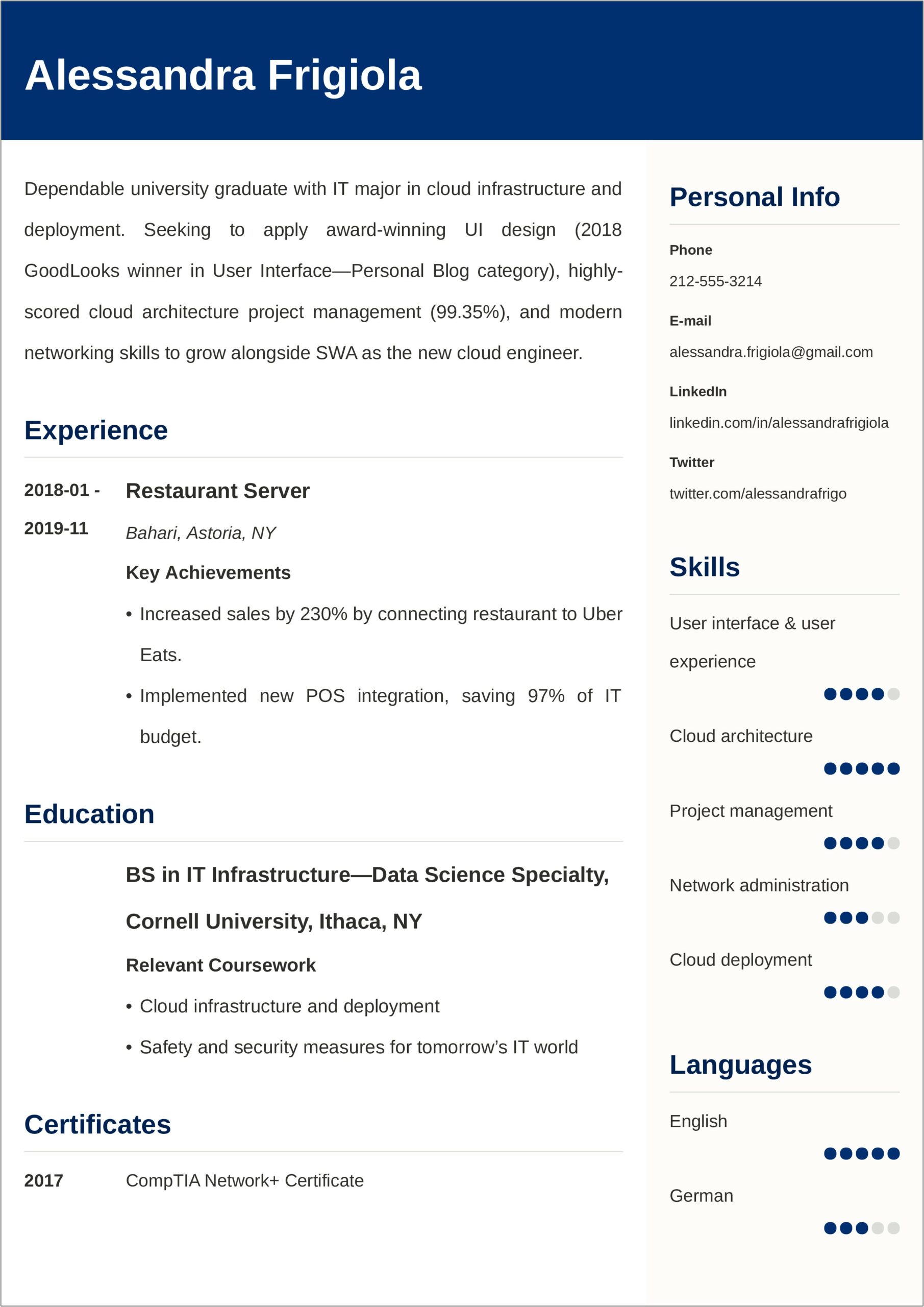 Entry Level Resume No Experince Summary