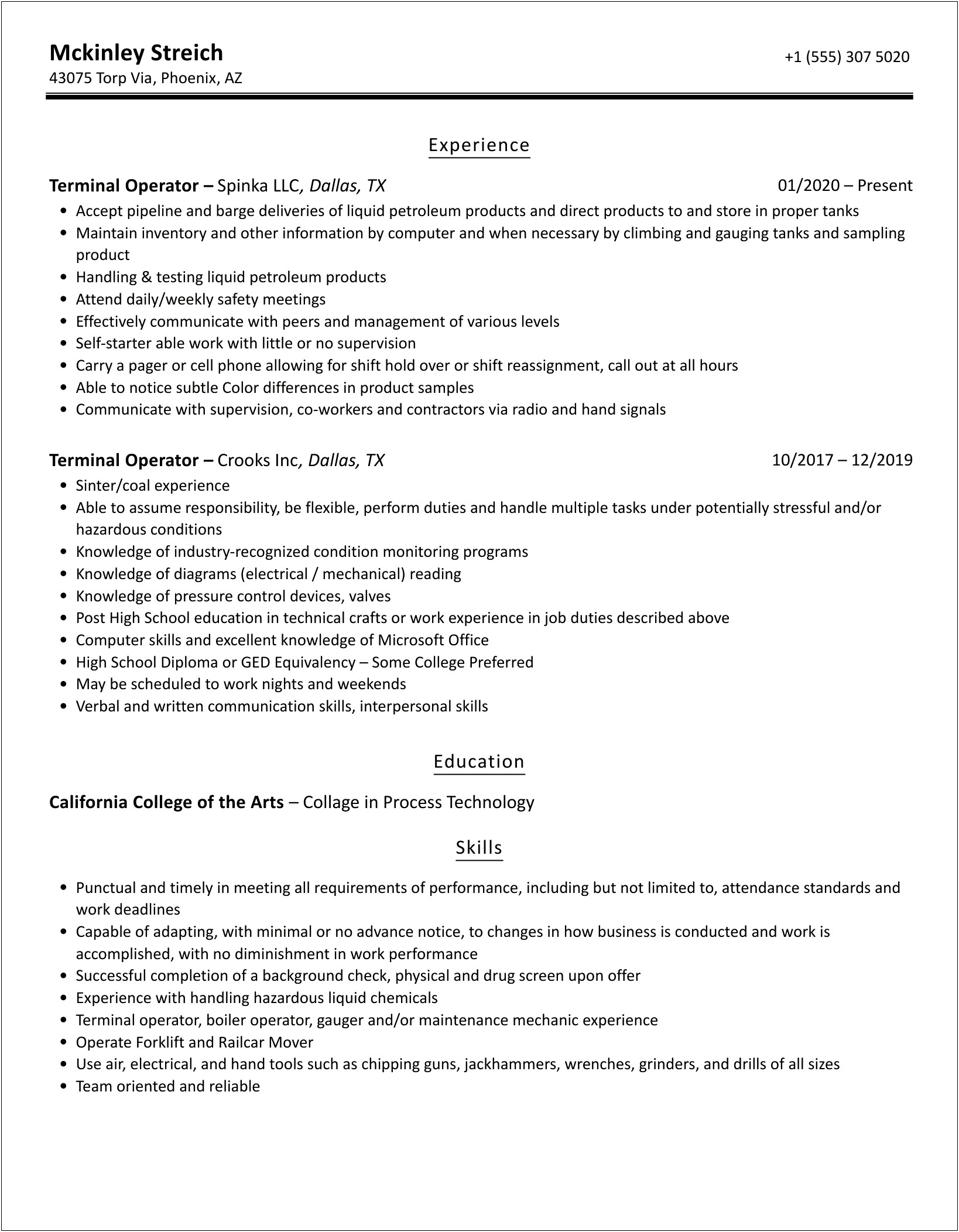 Entry Level Terminal Operator Resume Sample