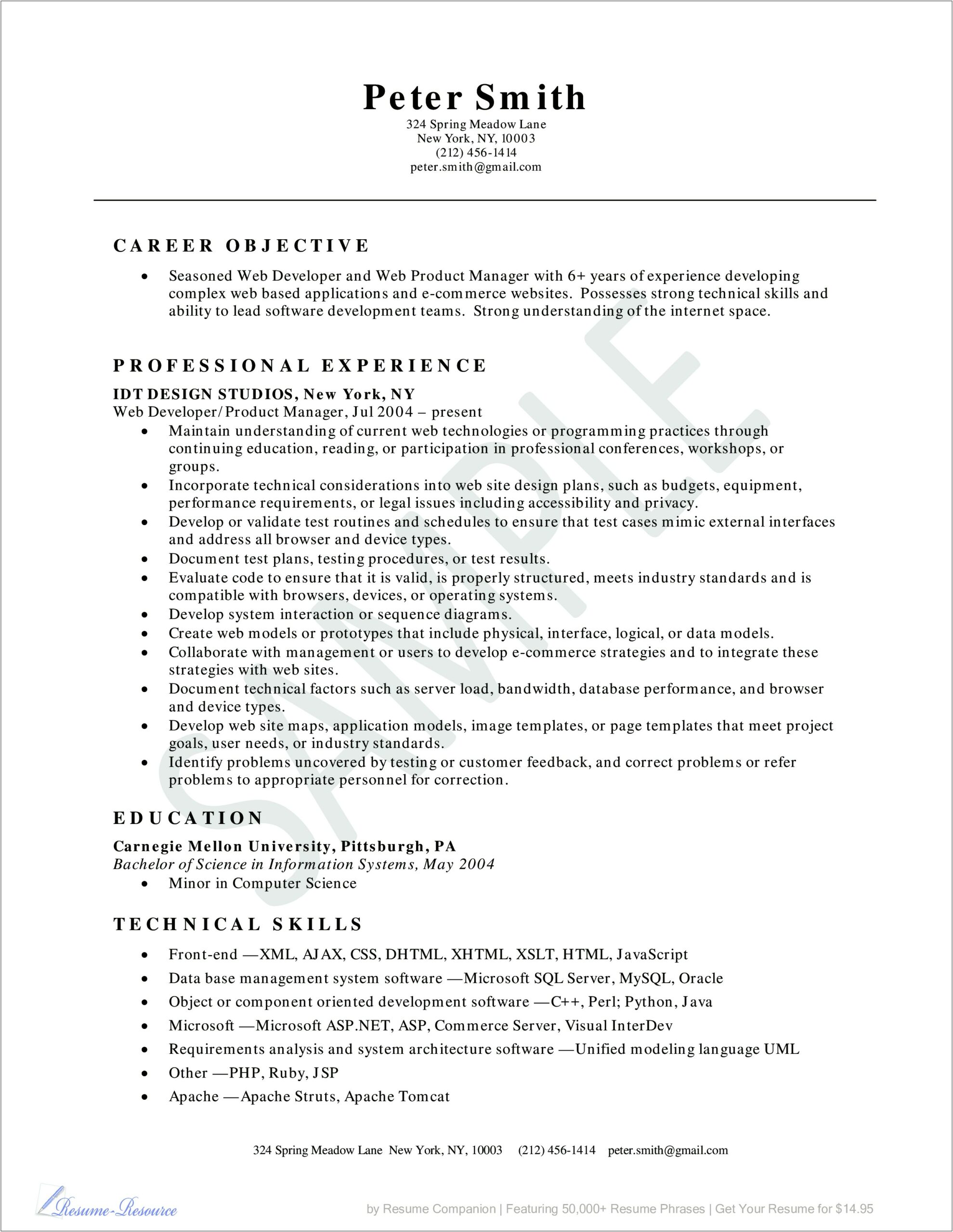 Example Of A Developer Resume