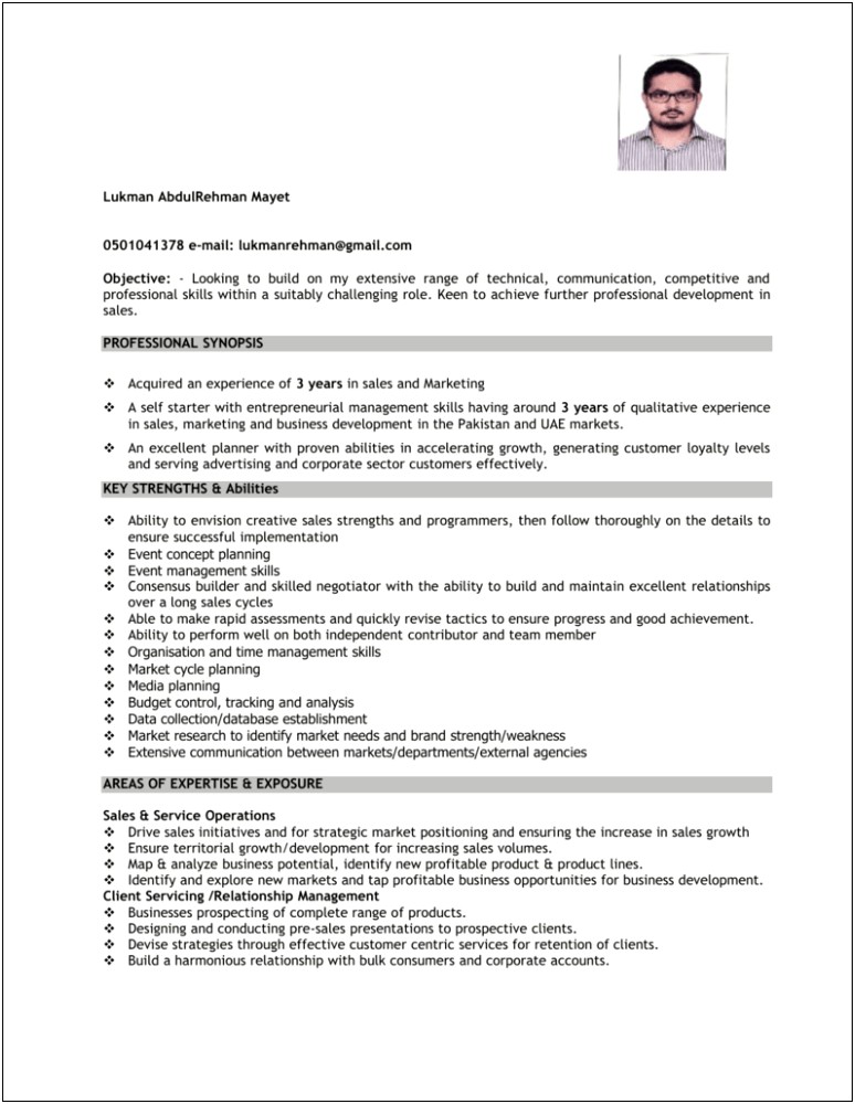 Example Of A Professional Sales Resume