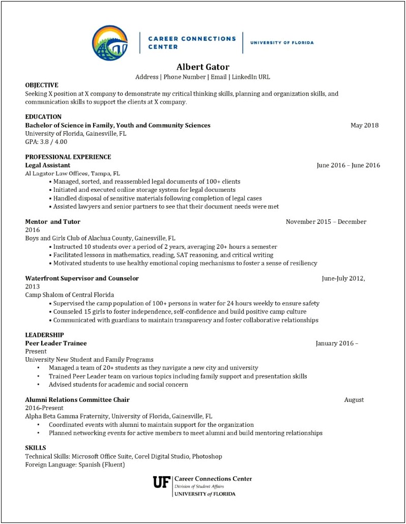 Example Of A Resume Student Mentor