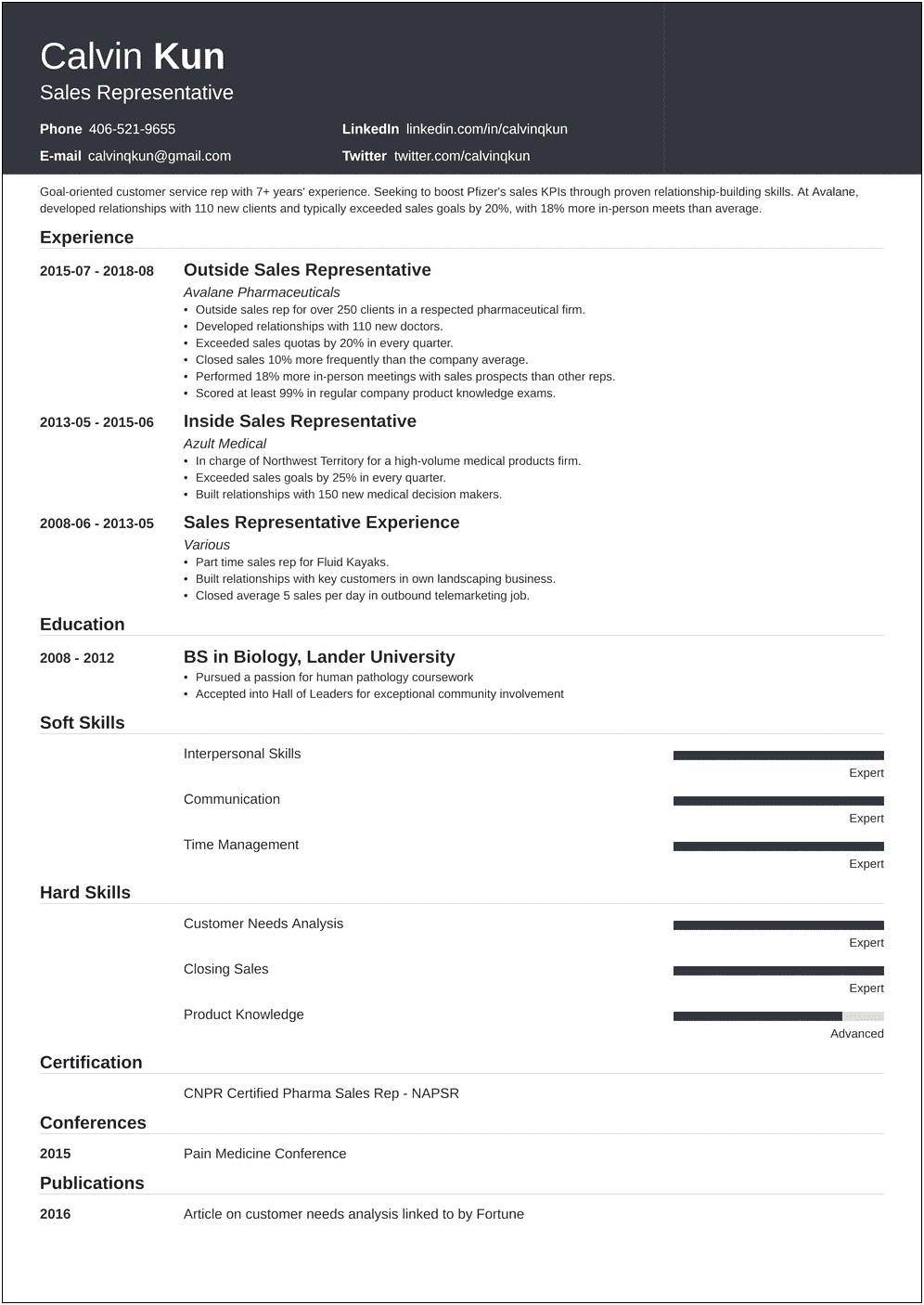 Example Of A Sale Professional Resume