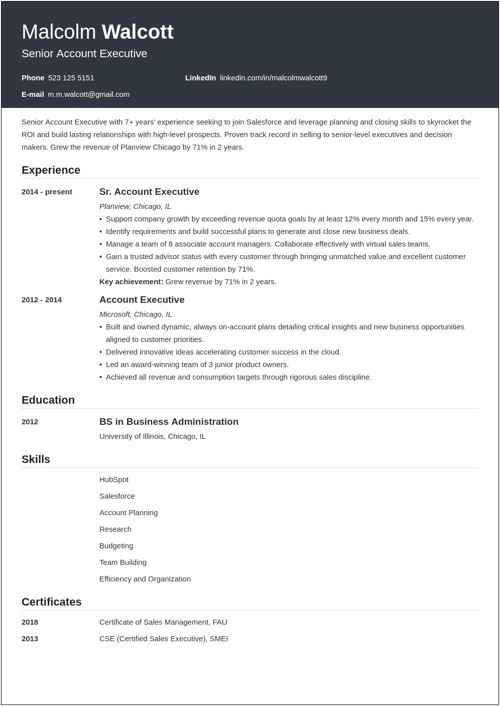 Example Of Great Resume Accoun Executive