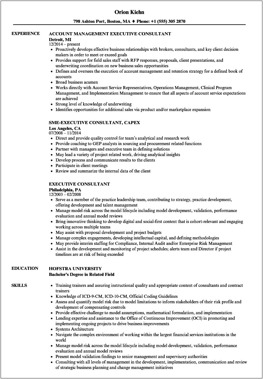 Example Of Retained Executive Search Consultant Resume