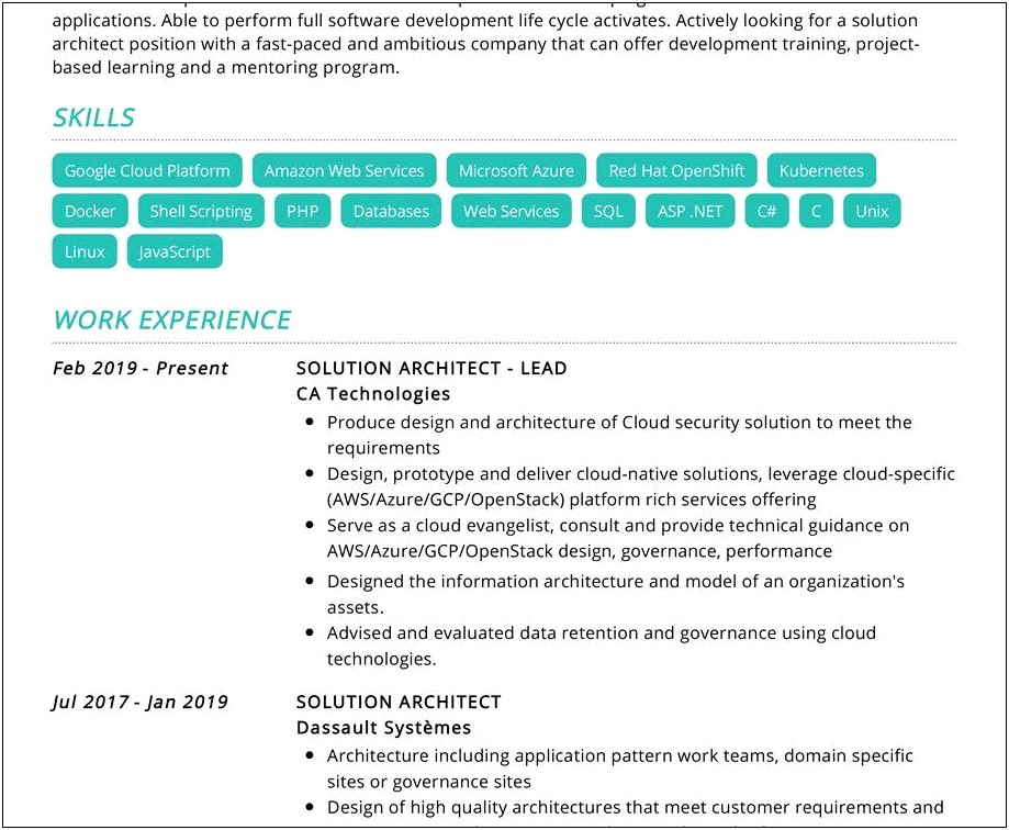 Example Resume Net Sql Server Application Architect