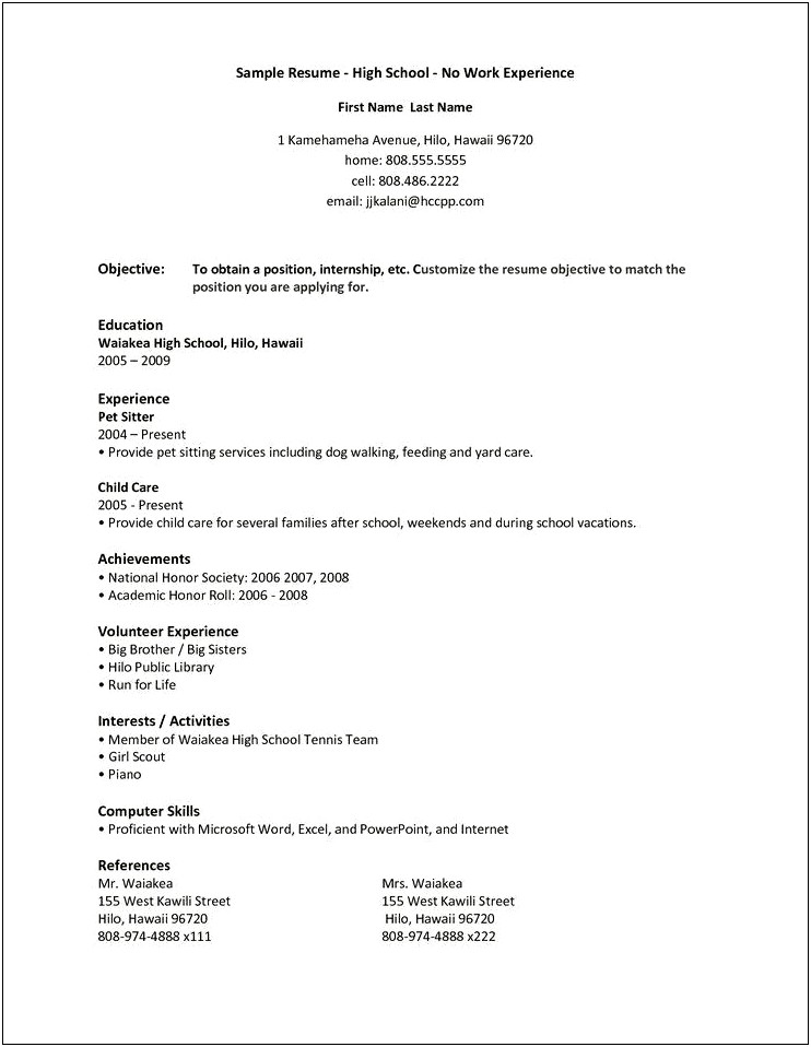 Example Resume Working Student No Experience