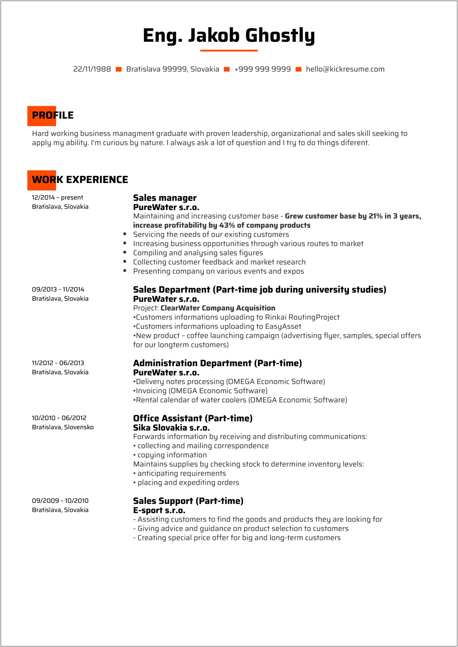 Examples Formal Resume For Program Manager