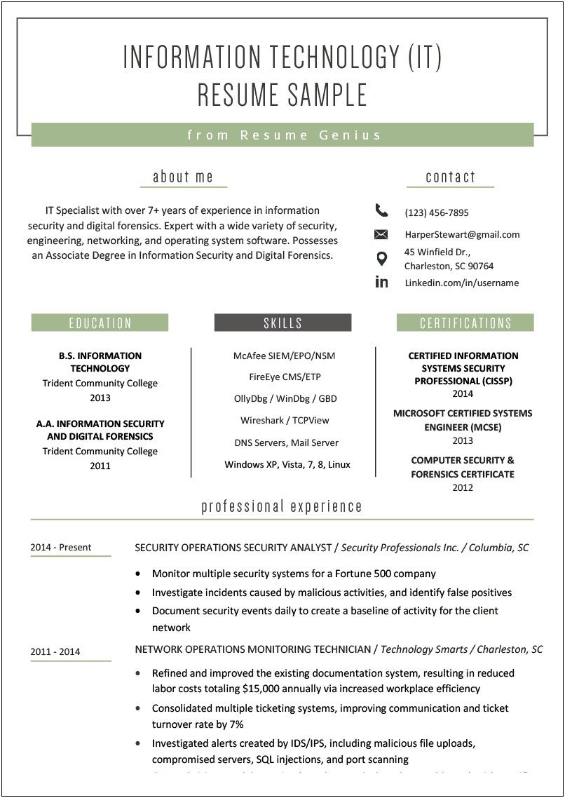 Examples Of A Resume For A Job Application