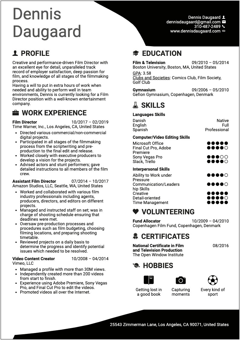 Examples Of A Student Artist Resume