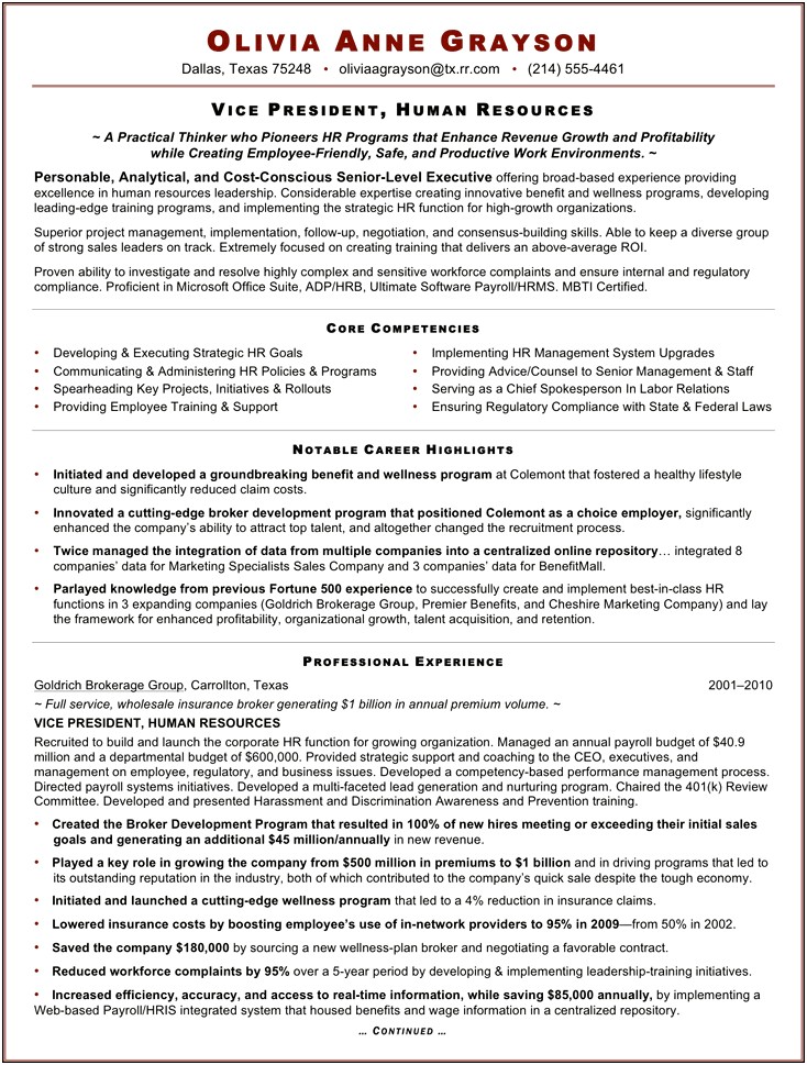 Examples Of A Vice Presidents Resume