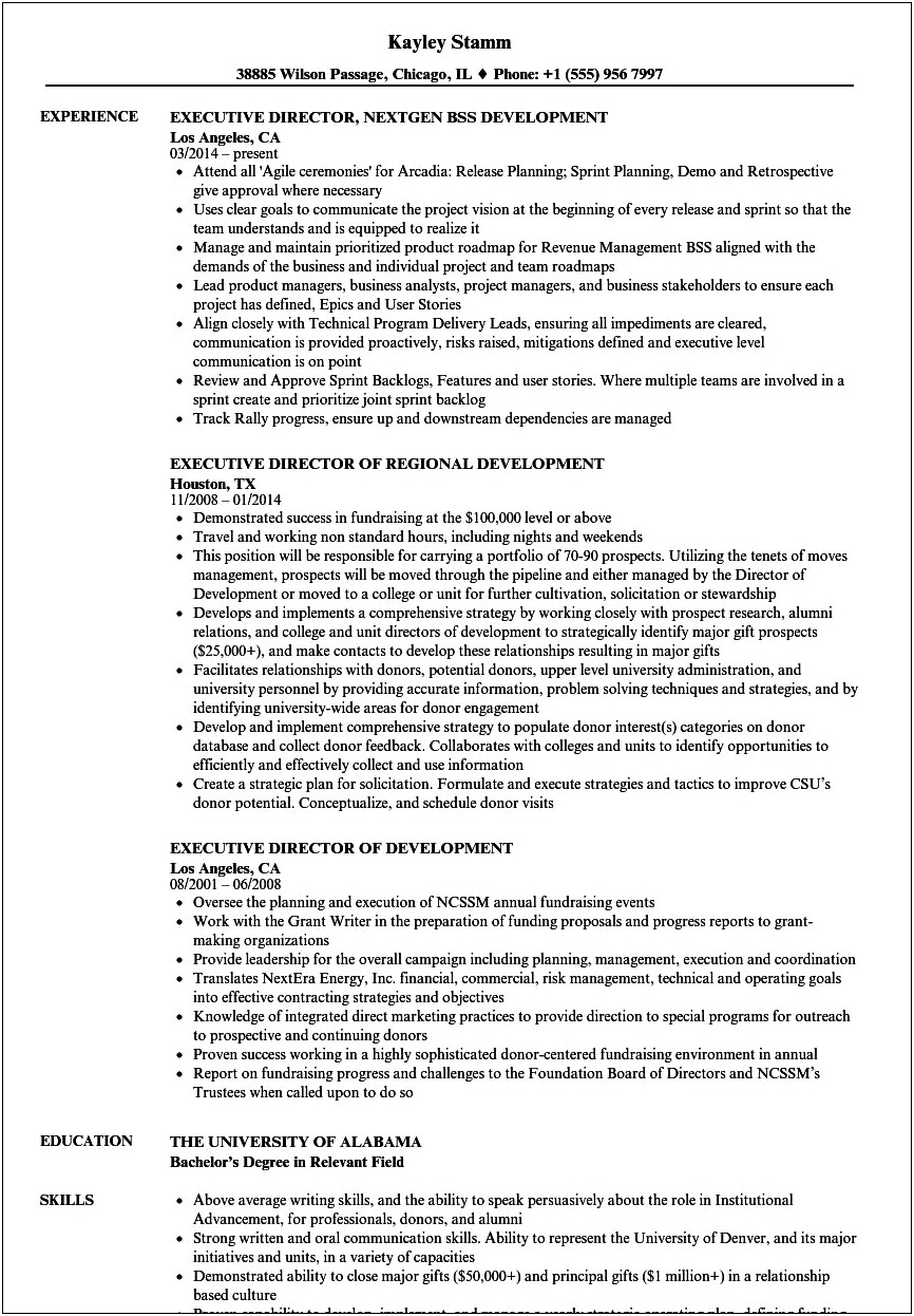 Examples Of Director Of Deveopment Resume