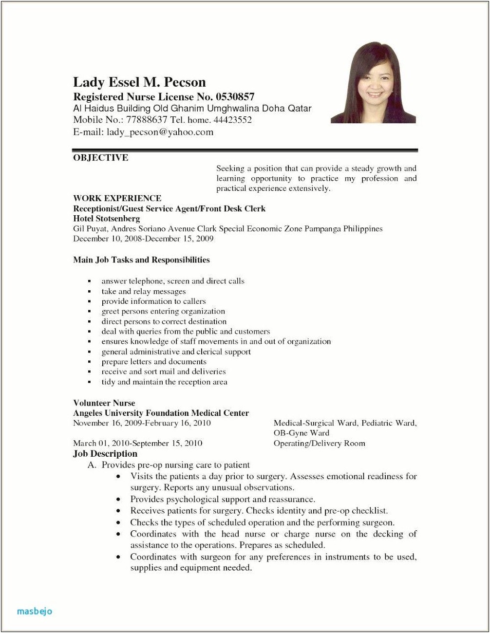 Examples Of Resume Applying For A Job