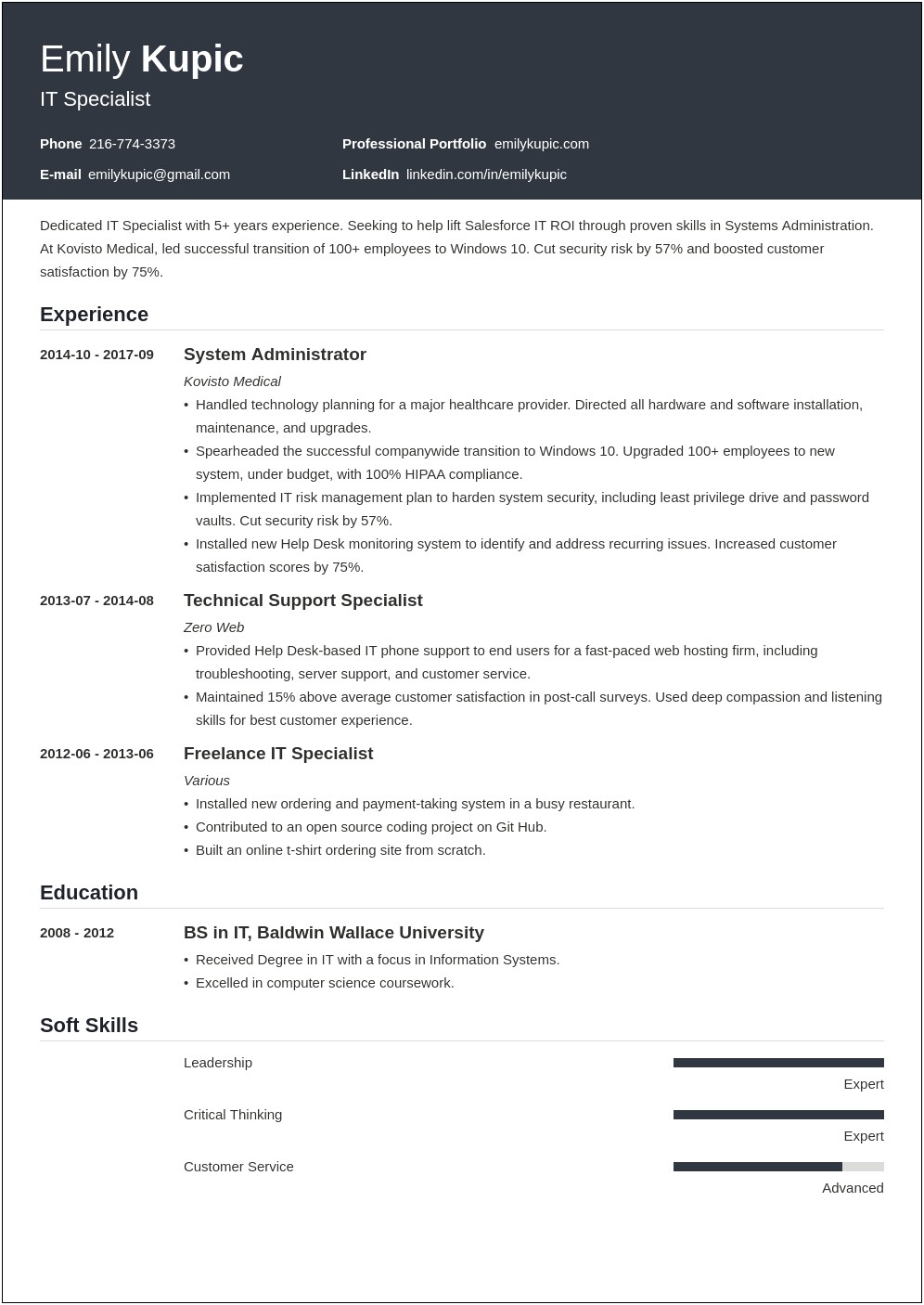 Examples Of Resumes For Technical Jobs