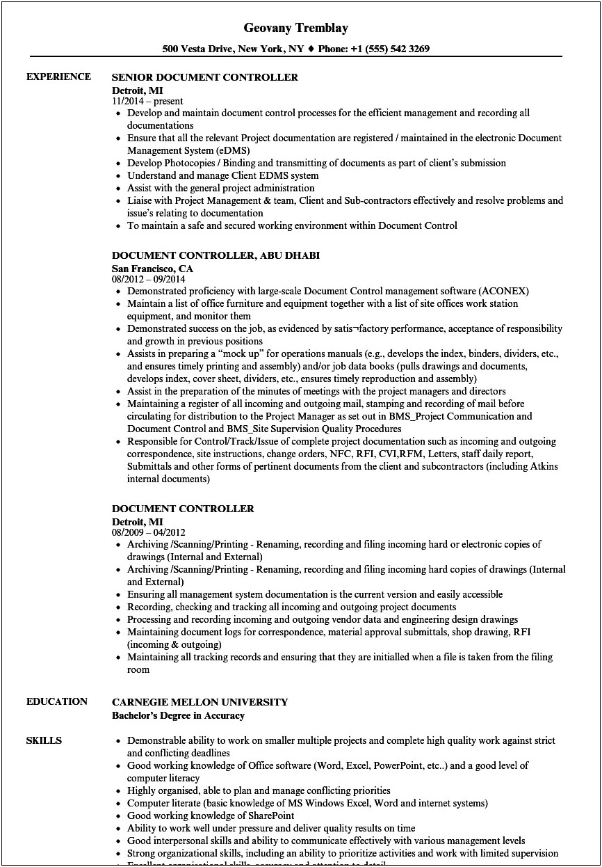 Examples Of Resumes In Doc Format