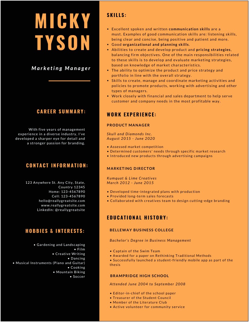 Examples Of Some Of The Best Resumes