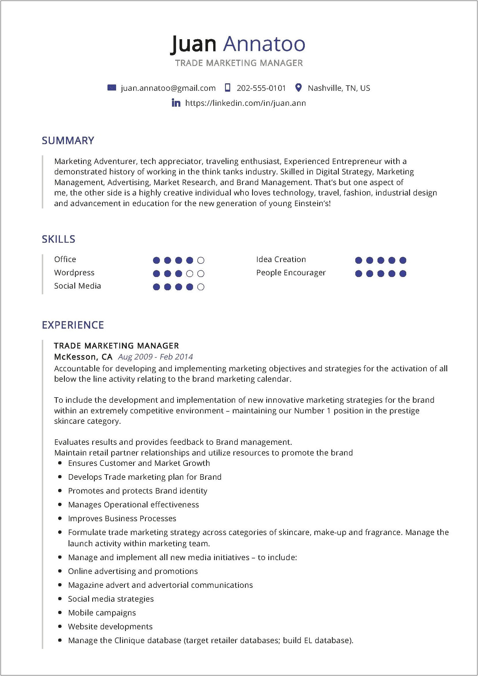 Examples Of Summary In Resume For Marketing