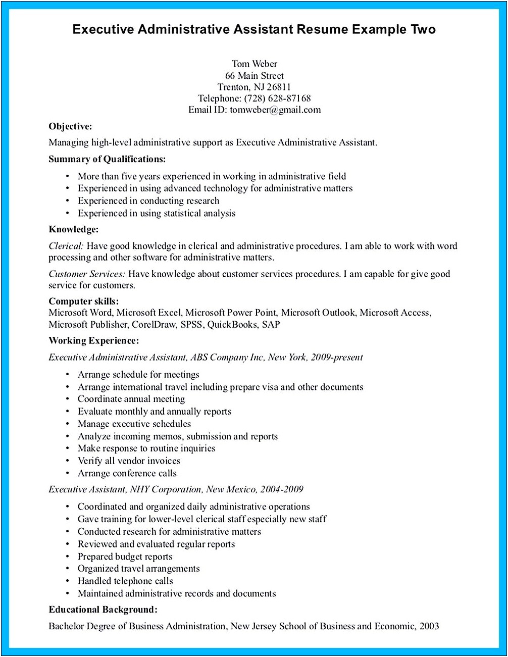 Executive Summary Of A Resume Sample