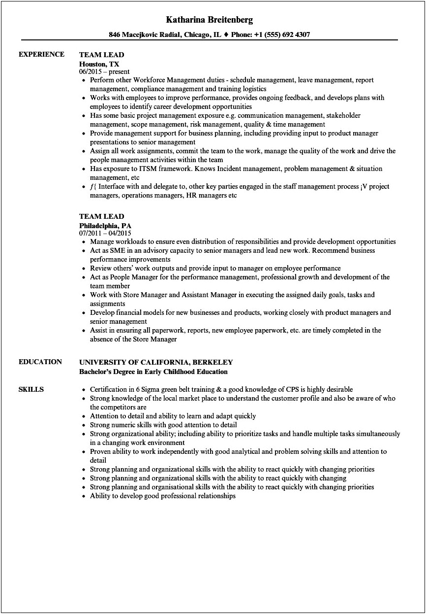 Experience In Leading A Team Resume