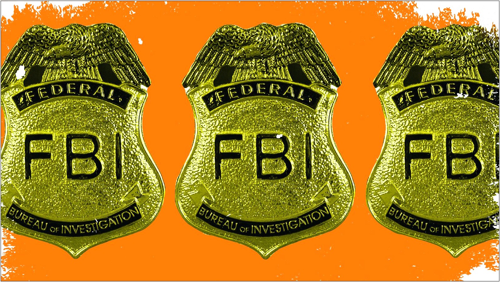 Fbi Resume Goal With Professional Skills