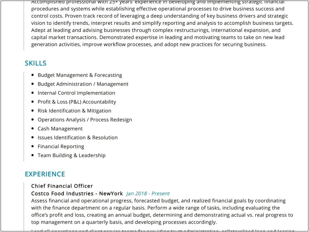 Financial And Budgets Skills For Resume