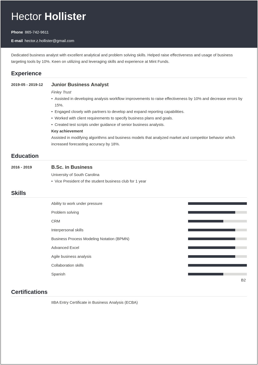 Free Business Analyst Resume Template Download