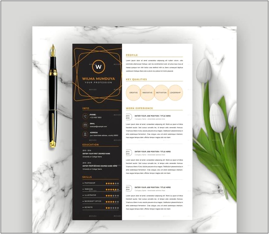 Free Downloable Resume Templates For Word