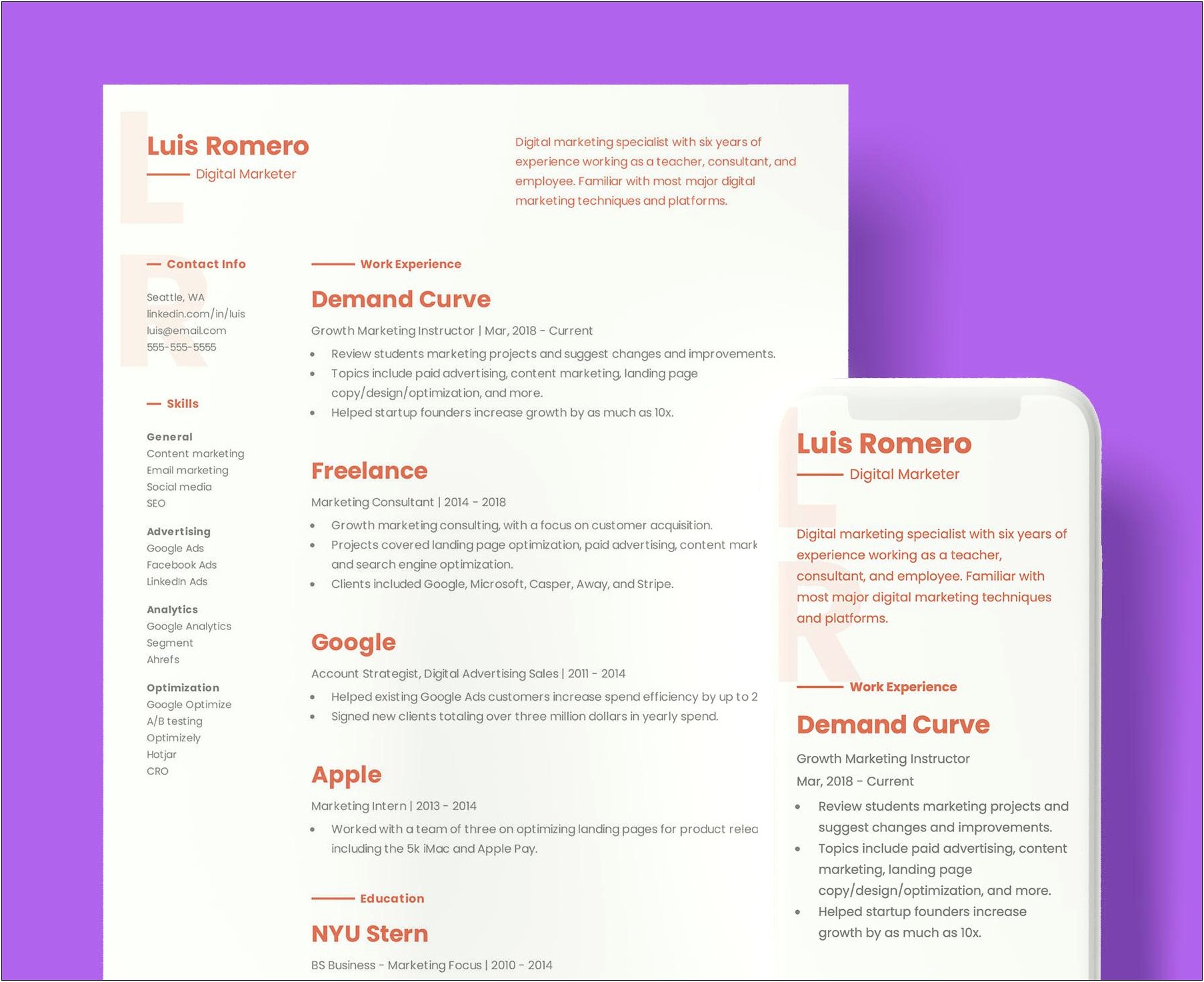 Free Eye Catching Indesign Resume Templates