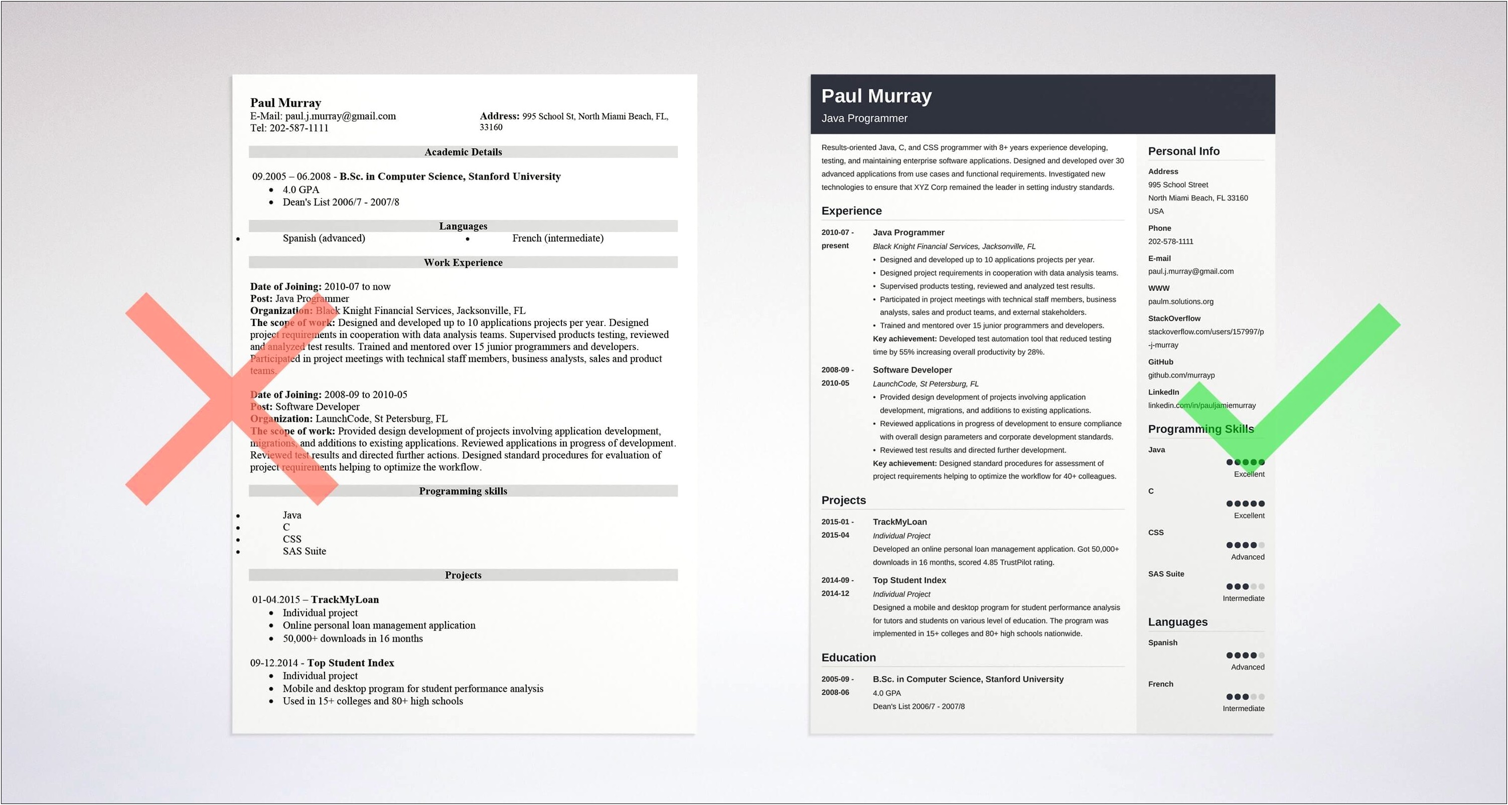 Free Eye Catching Resume Layout For Computer Coder