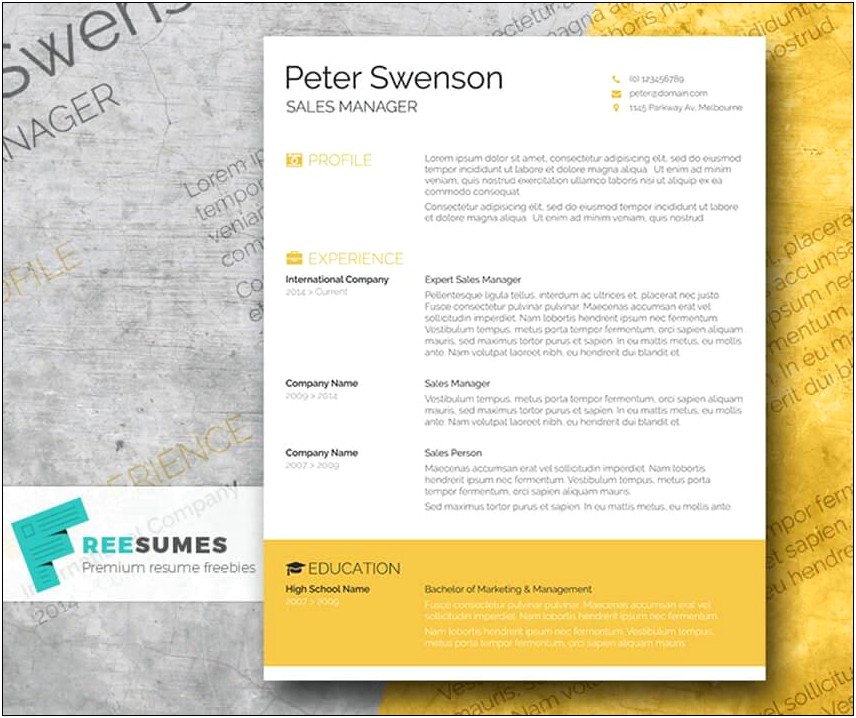 Free Minimalist Resume Template For Management