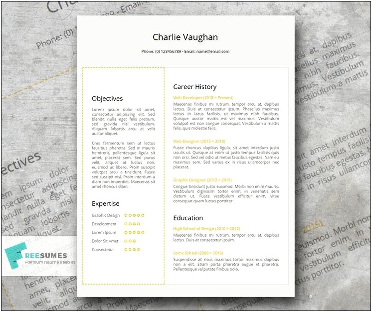 Free Modern Resume Templates For Google Docs