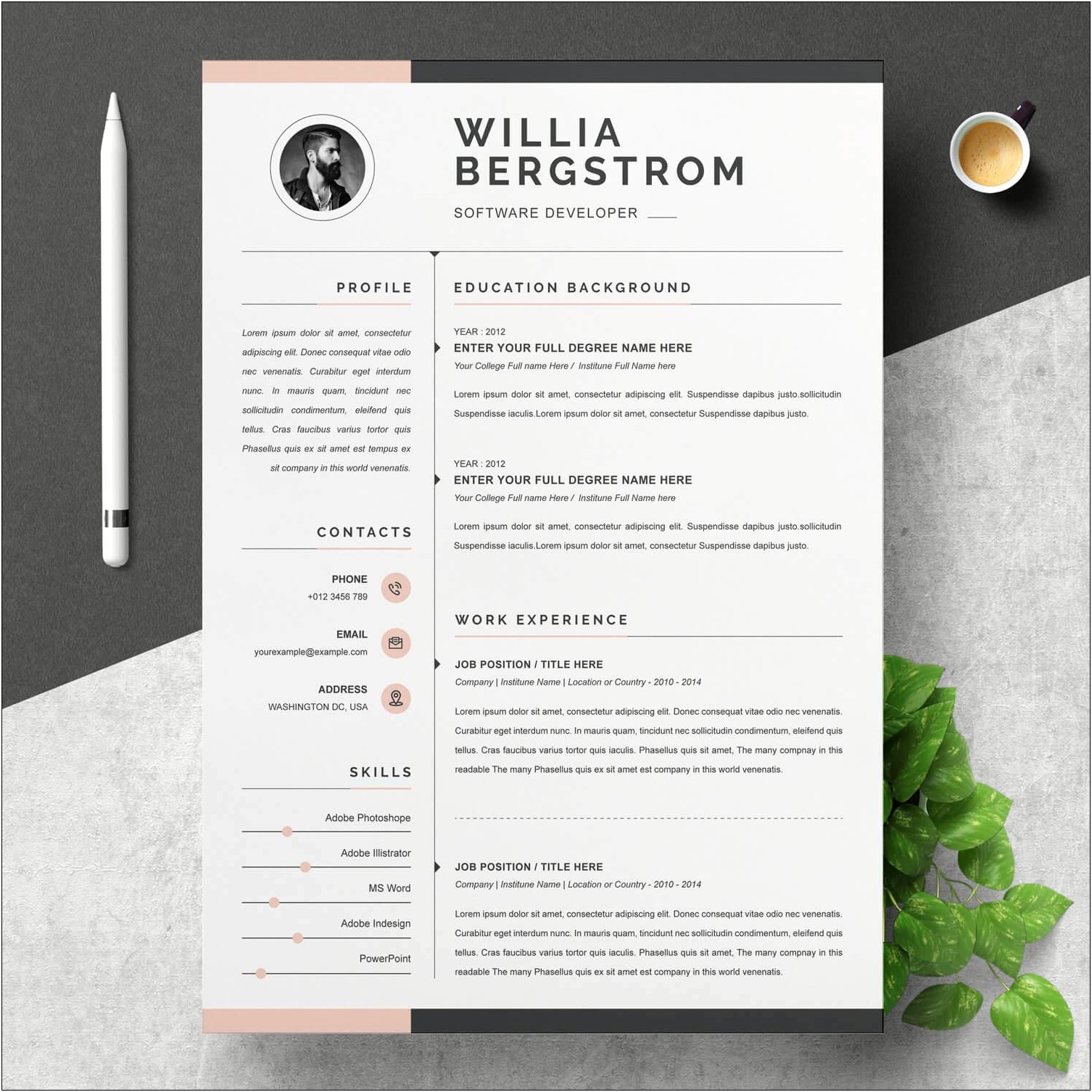 Free Ms.word Resume And Cv Template