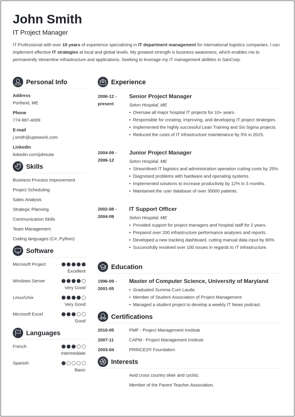 Free Samples Of A Professional Resume
