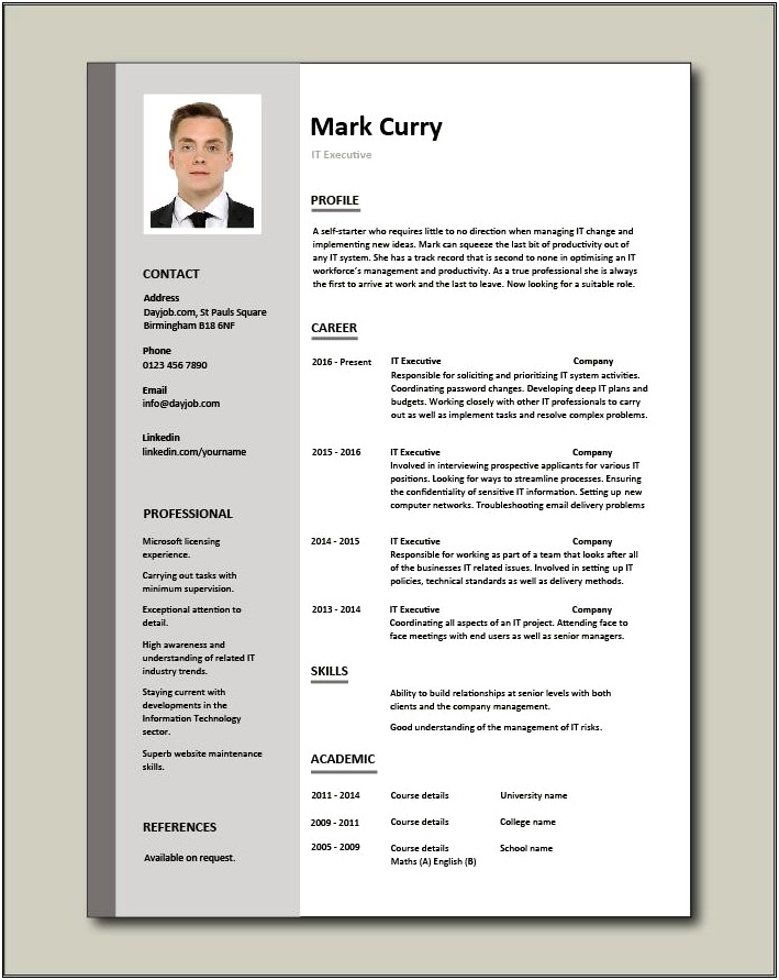 Free To Download Online Executive Director Resume Template