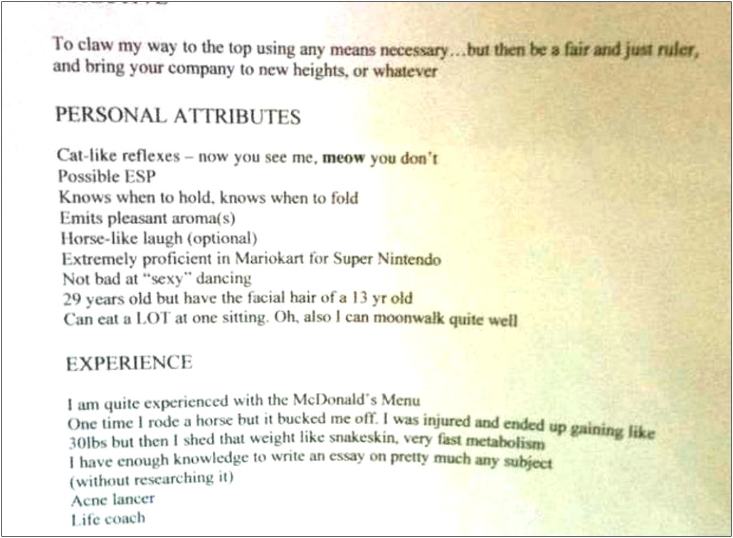 Funny Things People Put On Resumes