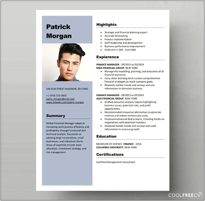 Good Resume Format For Finance Professional