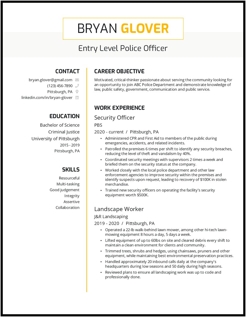 Goods Skills For A Security Officer Resume