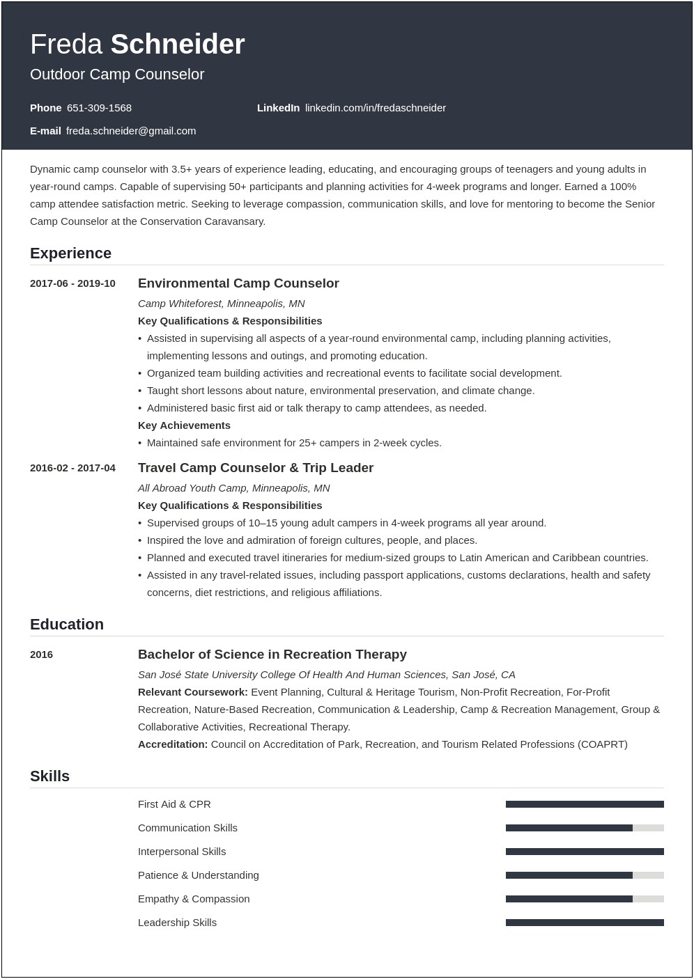 Graphic Resume Examples Camp Director Pdf