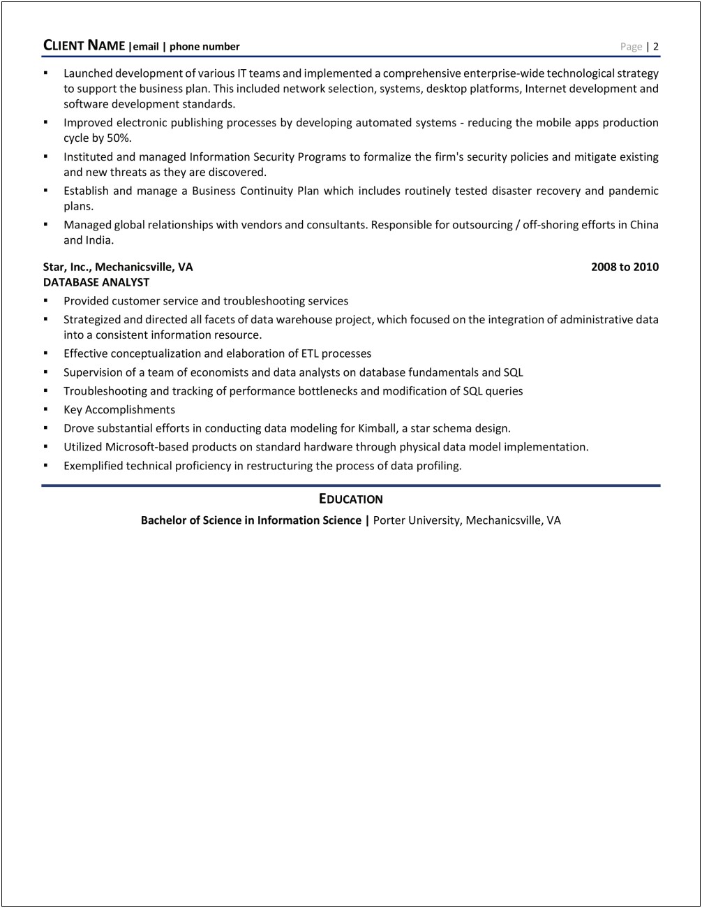 Information Technology Vice President Resume Sample