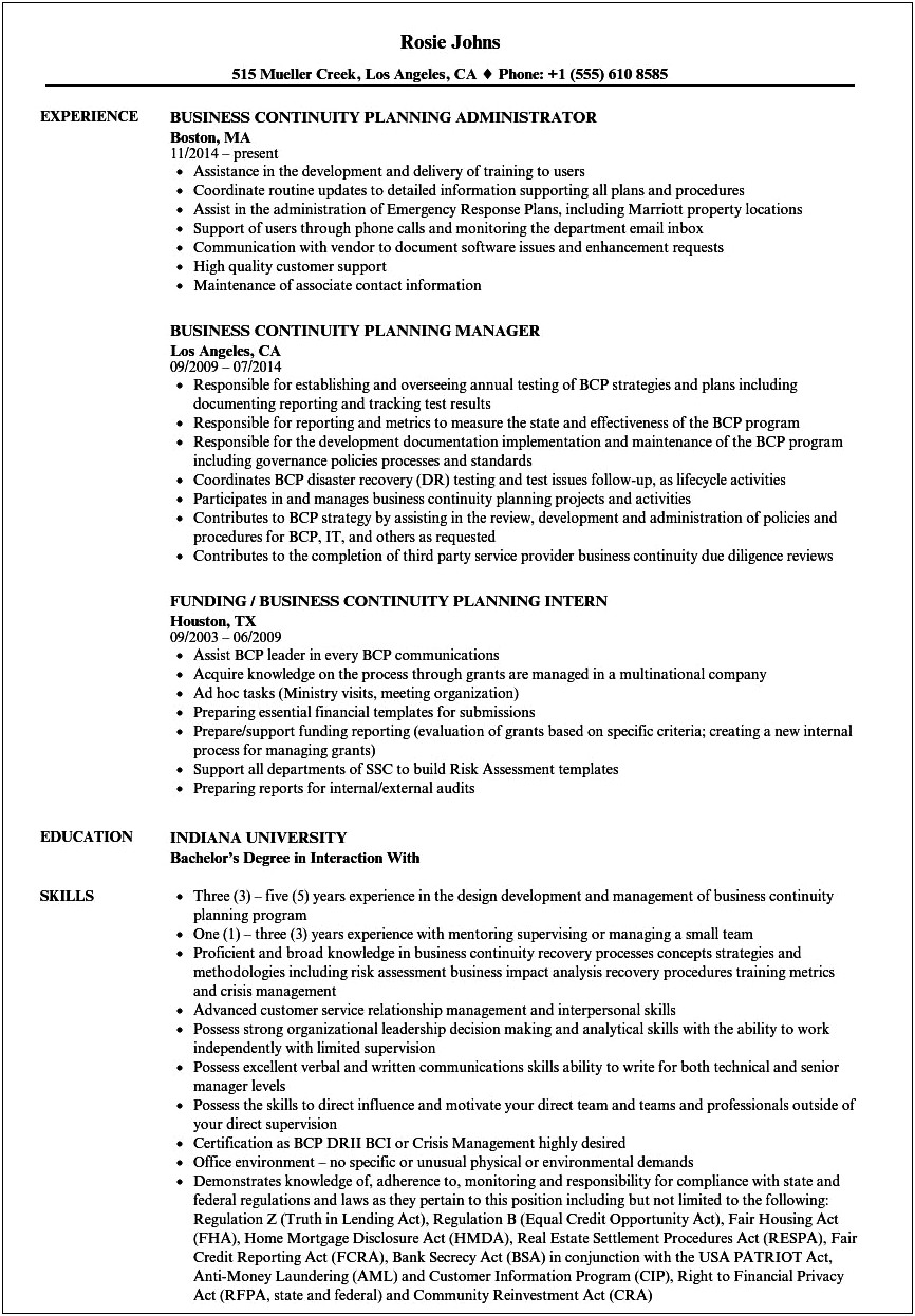 It Department Business Plan Resume Template