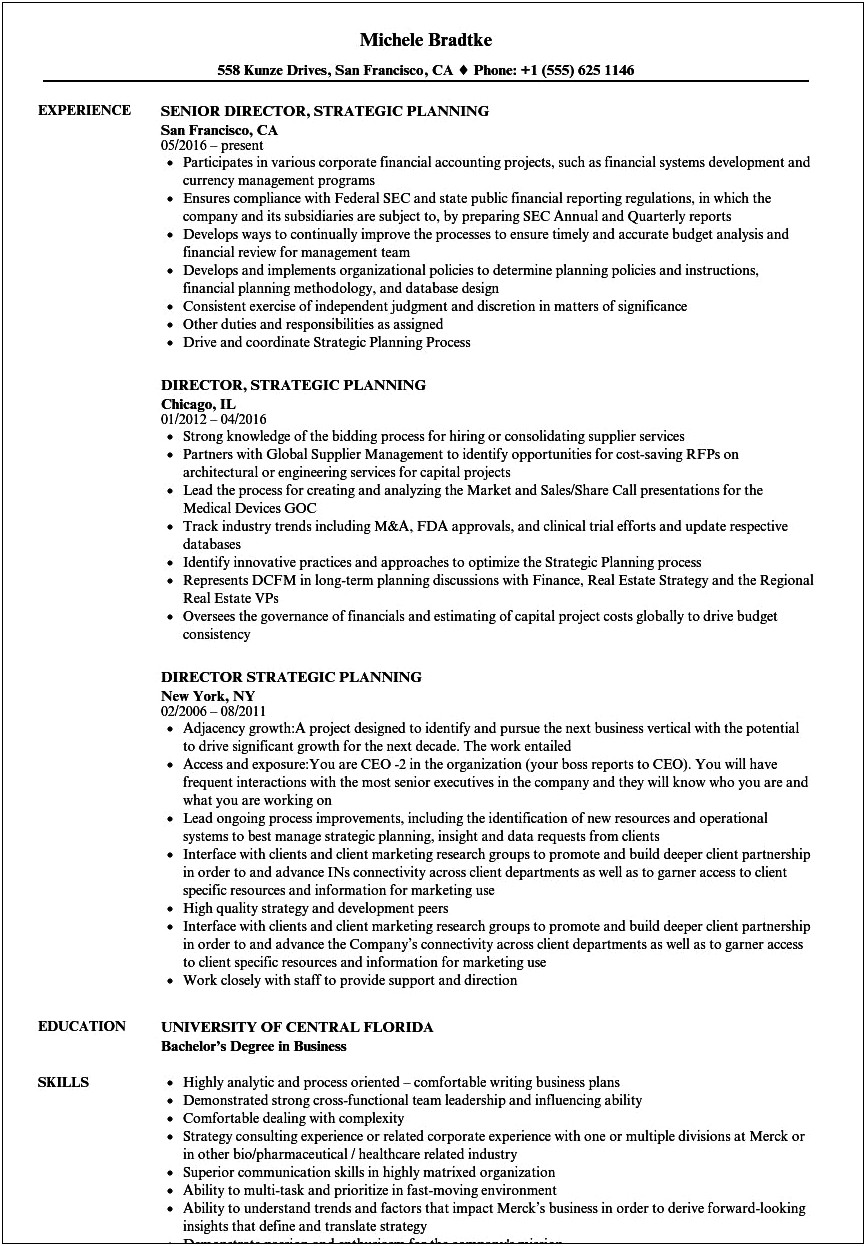 It Director Business Plan Resume Template